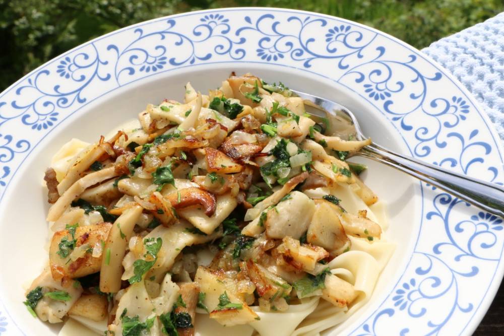 Rezept Bandnudeln mit Steinpilzen - Genussland Südtirol